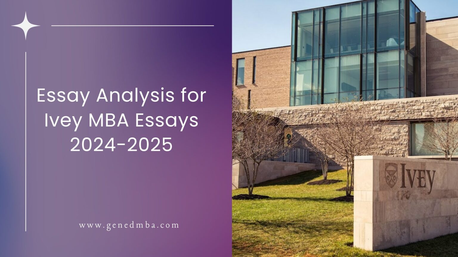 ivey mba essay questions