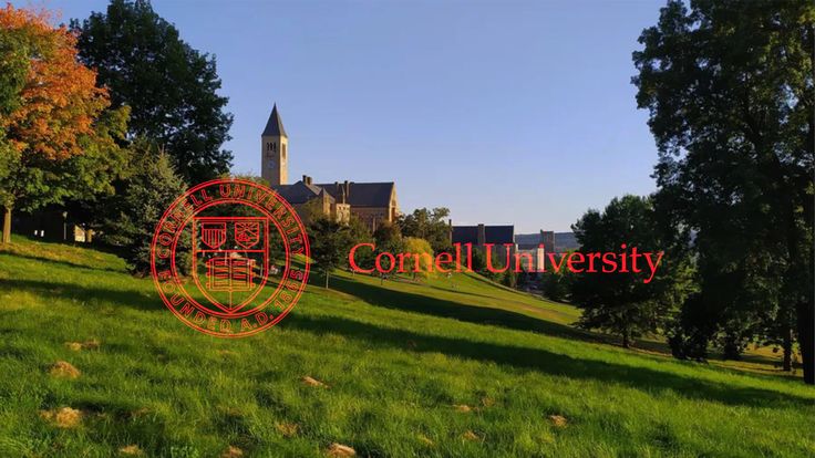 Cornell MBA Essays and Application Deadlines